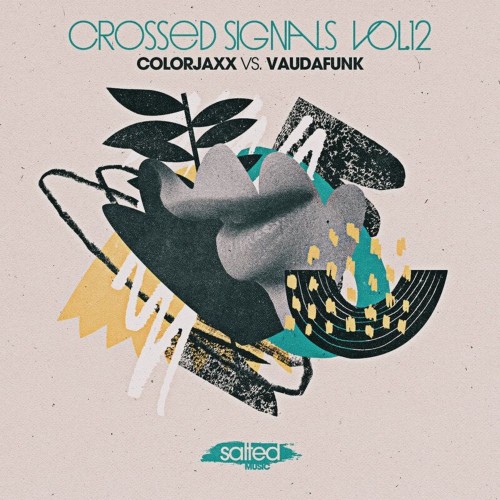 VA | Colorjaxx & Vaudafunk - Crossed Signals, Vol. 12 (2021) MP3