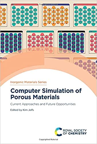 Computer Simulation of Porous Materials : Current Approaches and Future Opportunities