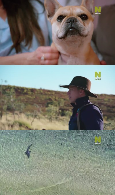 Outback Vet S01E02 1080p HEVC x265-MeGusta
