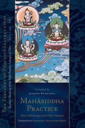 Mahasiddha Practice: From Mitrayogin and Other Masters, Volume 16 (The Treasury of Precious Instructions)