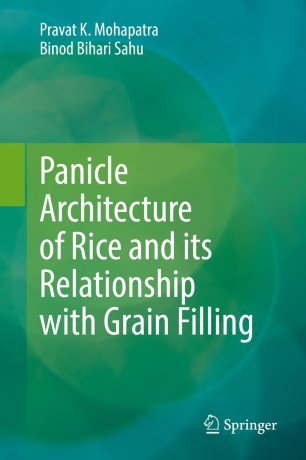 Panicle Architecture of Rice and its Relationship with Grain Filling