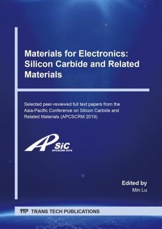 Materials for Electronics: Silicon Carbide and Related Materials