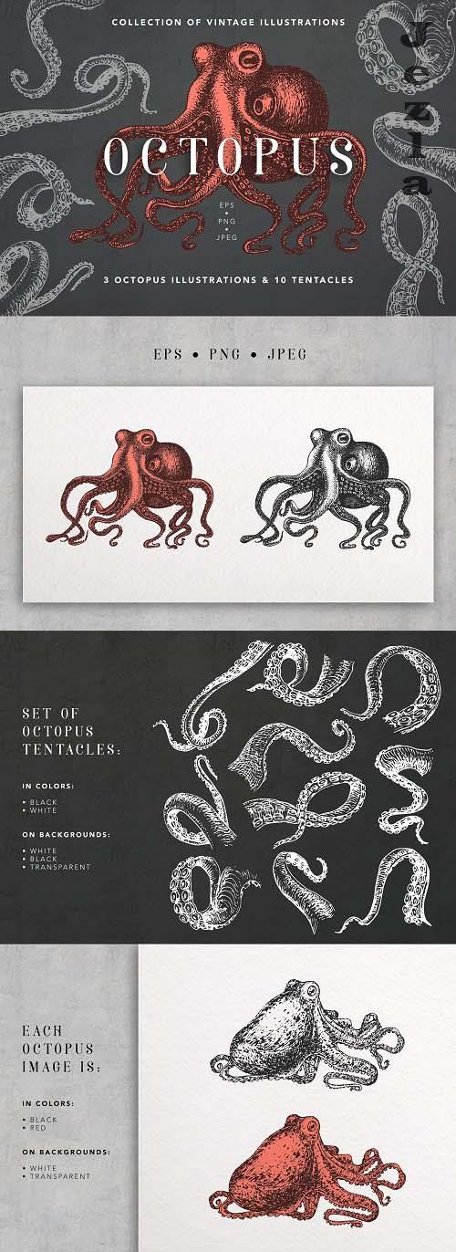 Octopus Vintage Collection - 6563509