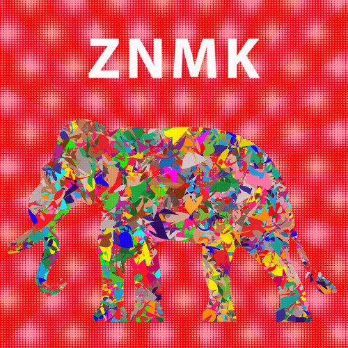 VA - ZNMK - Polarisation (2021) (MP3)