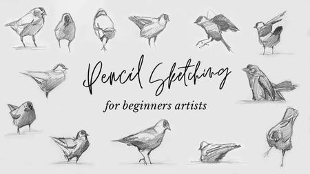 Pencil Sketching for Beginner Artists - Improve Your Technique With Quick & Loose Animal Drawings