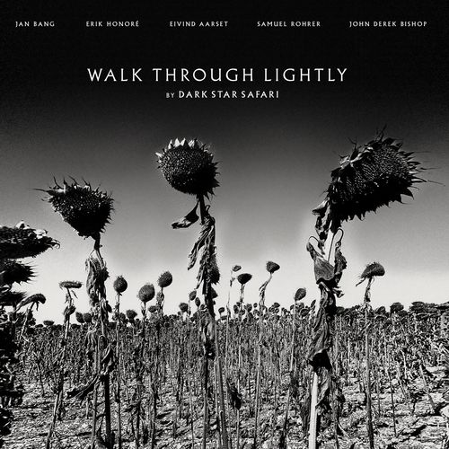 VA - Dark Star Safari - Walk Through Lightly (2021) (MP3)