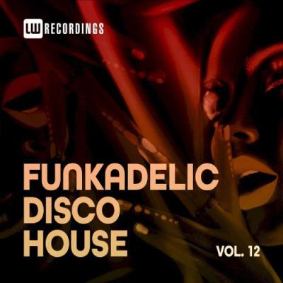 VA - Funkadelic Disco House, 12 (2021) (MP3)