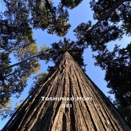 Toshihiko Mori - Sei (2021) Toshihiko Mori - Sei (2021)