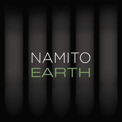 VA - Namito - 25 Years Nam - EARTH (2021) (MP3)