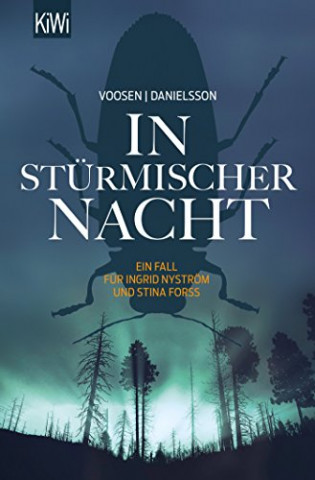 Cover: Roman Voosen - In stürmischer Nacht