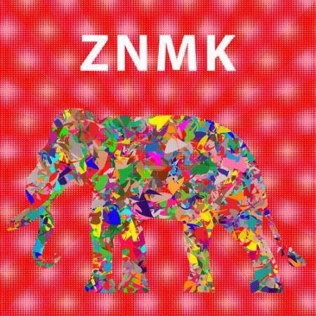ZNMK - Polarisation (2021)