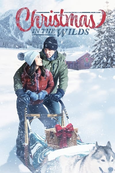 Christmas in the Wilds (2021) WEBRip XviD MP3-XVID