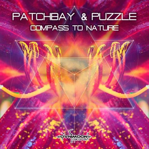 VA - Patchbay & Puzzle - Compass To Nature (2021) (MP3)