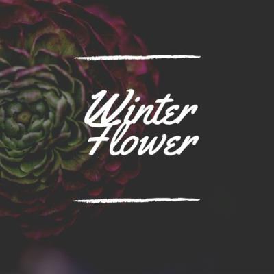 VA - Winter Flower (2021) (MP3)