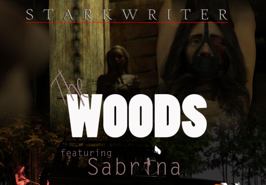 Starkwriter - The Woods