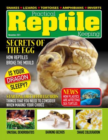 Practical Reptile Keeping   November 2021
