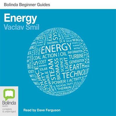 Energy: Bolinda Beginner Guides (Audiobook)