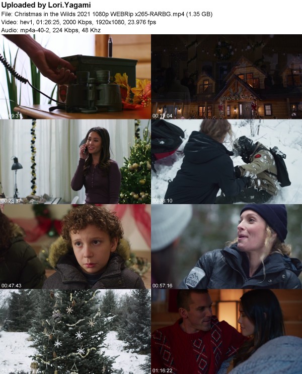 Christmas in the Wilds (2021) 1080p WEBRip x265-RARBG