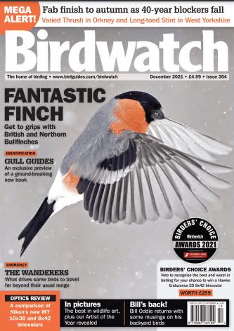 Birdwatch UK   December 2021