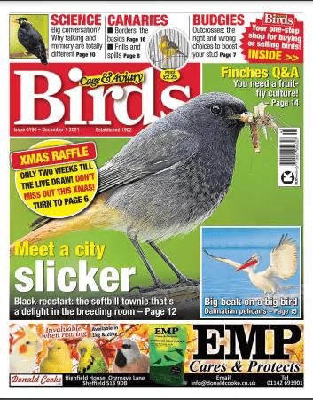 Cage & Aviary Birds   Issue 6190, December 01, 2021