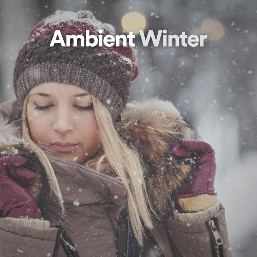 VA - Ambient Winter (2021) (MP3)