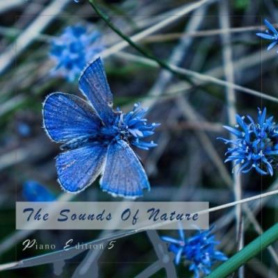 VA - The Sounds of Nature, Piano Edition 5 (2021) (MP3)