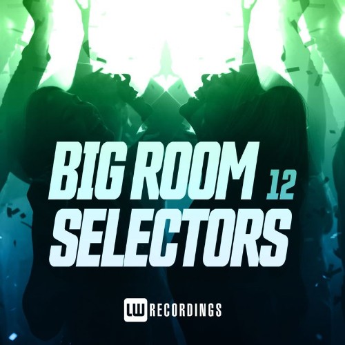 VA | Big Room Selectors, 12 (2021) MP3