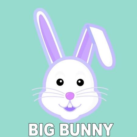 Big Bunny - Fraction (2021)