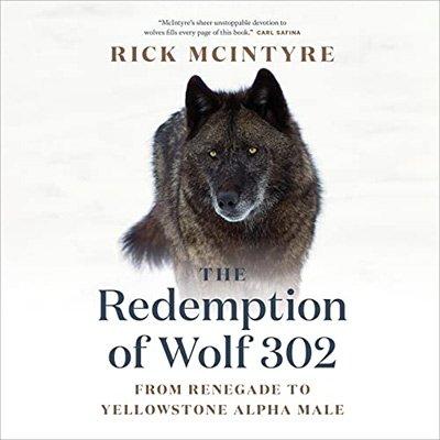 The Redemption of Wolf 302: From Renegade to Yellowstone Alpha Male (Audiobook)