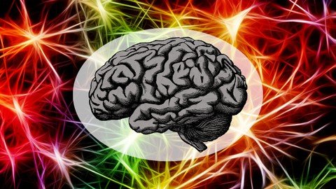 Udemy - Basics of Neuroscience