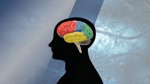 Udemy - The Neuroscience Challenges of Organizational Change