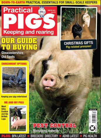 Practical Pigs   Issue 45, Winter 2021