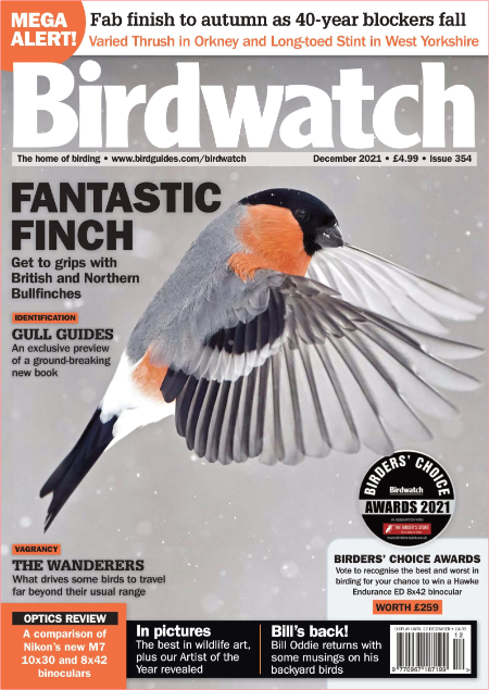 Birdwatch UK - December 2021