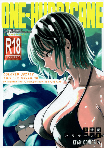 ONE-HURRICANE 6 Hentai Comics