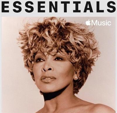 Tina Turner   Essentials (2021)
