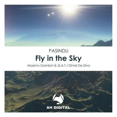 VA - Pasindu - Fly In The Sky (2021) (MP3)