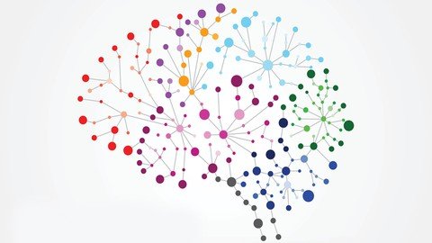Educational Neuroscience - Udemy
