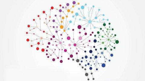Udemy - Educational Neuroscience