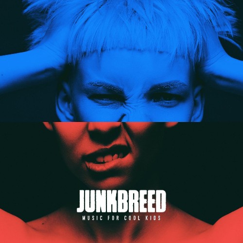 VA - Junkbreed - Music for Cool Kids (2021) (MP3)