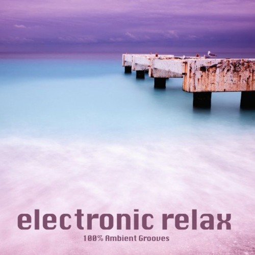 VA | Electronic Relax (100% Ambient Grooves) (2021) MP3