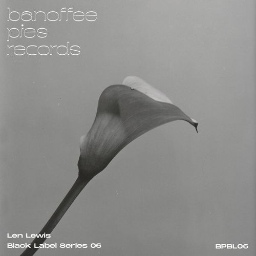 VA - Len Lewis - Black Label Series 06 (2021) (MP3)