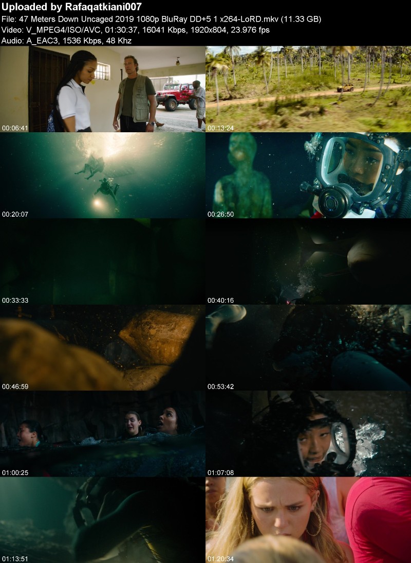 47 Meters Down Uncaged 2019 1080p BluRay DD+5 1 x264-LoRD 47 Meters Down Uncaged 2019 1080p BluRay DD+5 1 x264-LoRD