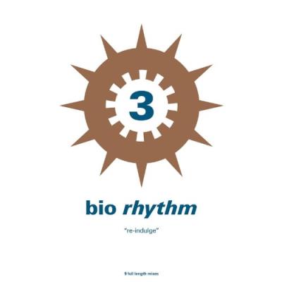 VA - bio-rhythm 3...re-indulge (2021) (MP3)