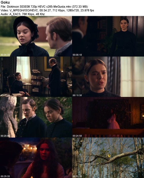 Dickinson S03E08 720p HEVC x265-MeGusta