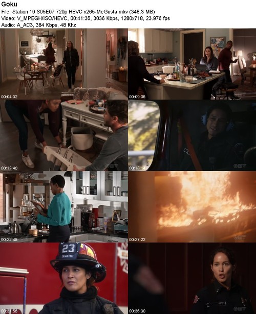 Station 19 S05E07 720p HEVC x265-MeGusta