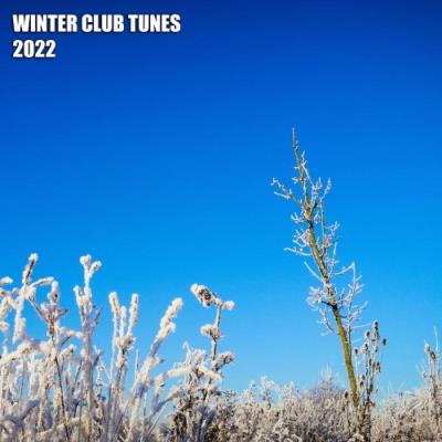 VA - Winter Club Tunes 2022 (2021) (MP3)