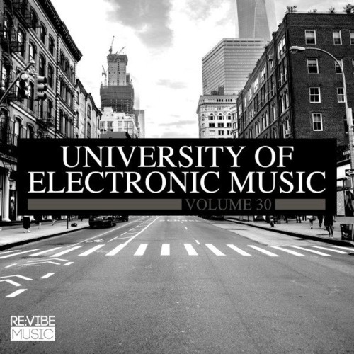 VA - University of Electronic Music, Vol. 30 (2021) (MP3)