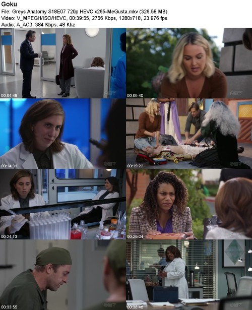 Greys Anatomy S18E07 720p HEVC x265-MeGusta