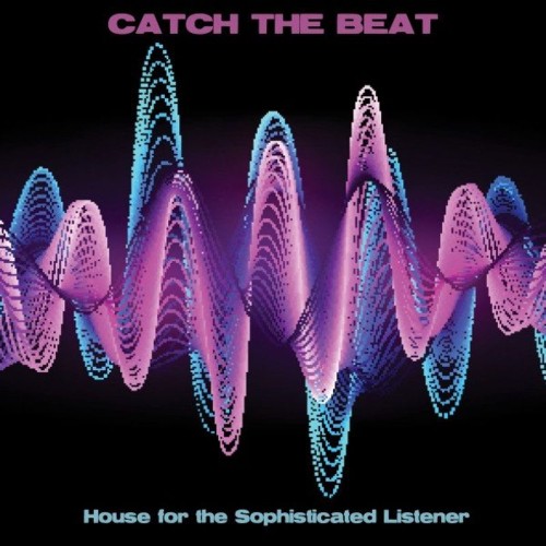 Catch the Beat: House for the Sophisticated Listener (2021)