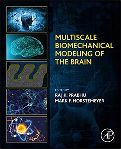Multiscale Biomechanical Modeling of the Brain